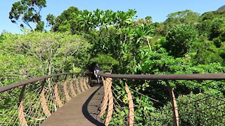 SOUTH AFRICA - Cape Town - Kirstenbosch National Botanical Garden (Video) (Amg)