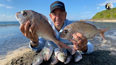 I'm Teaching VALUABLE Rock Fishing SKILLS + ( 9 ) Fish!