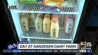 Celebrate National Milk Day at Danzeisen Dairy!
