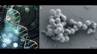 Scientists Create Self Replicating DNA Computers & Spread Computer Virus in Human DNA