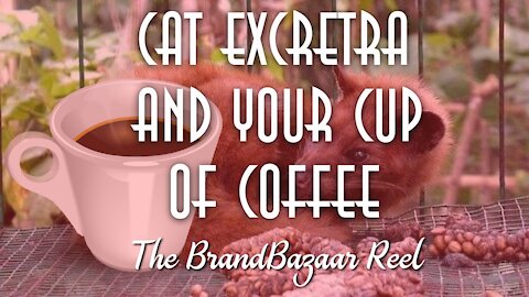 CAT EXCRETA AND YOUR CUP OF COFFEE