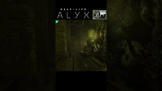 How I Experienced the Ultimate VR Adventure in Half-Life: Alyx!
