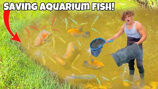 Saving FISH From Abandoned POND For My New AQUARIUM!