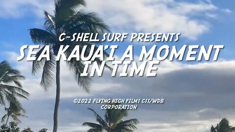SEA KAUA'I: A MOMENT IN TIME