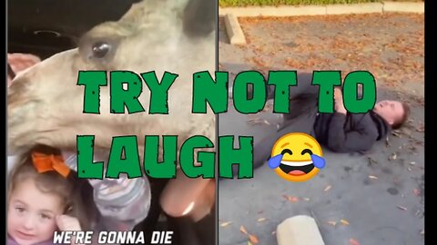 funny fails compilation🤣 try not to laugh 😂