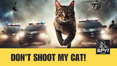 Don’t Shoot My Cat!