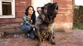 Ultimate Guard Dog Weighs 200lbs | TRULY