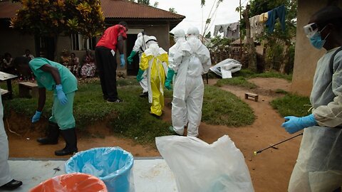 Study Finds Experimental Drugs Effective Against Congo's Ebola Strain