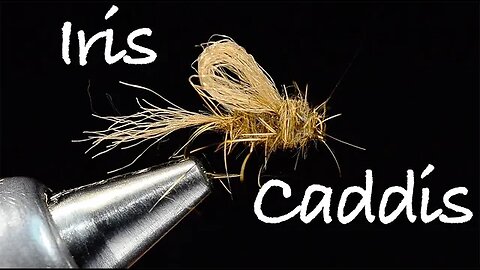 Iris Caddis Fly Tying Instructions - Tied by Charlie Craven