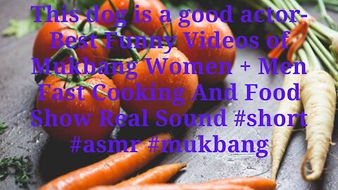 This dog is a good actor-Best Funny Videos of Mukbang Women #short