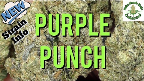 Purple Punch