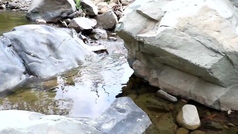 Catching crab in water & crab boiled on clay for food - Cooking crab eating delicious #18-2