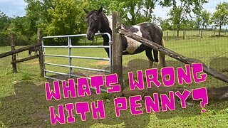 Problems With PENNY!