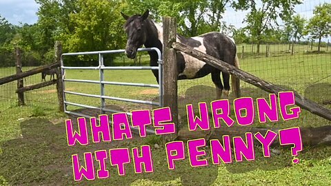 Problems With PENNY!