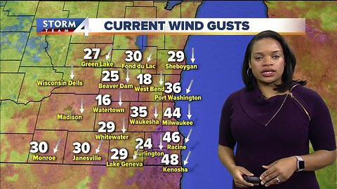 Meteorologist Elissia Wilson is tracking morning weather for Saturday January 11