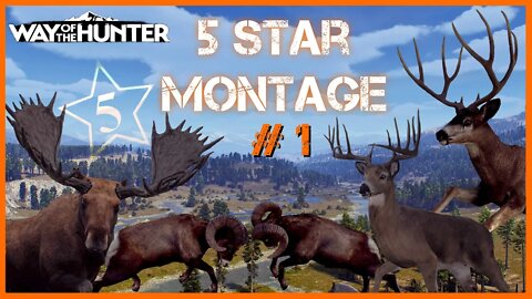 Way of the Hunter - 5 STAR Montage #1 Console