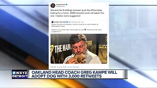 Retweets for Greg Kampe's new puppy!