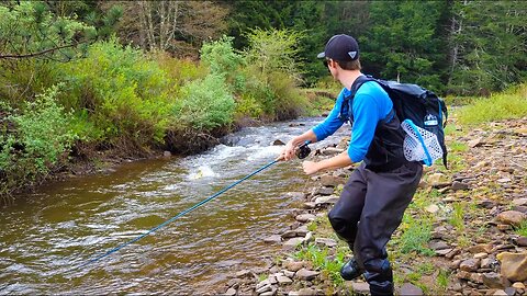 Catching Big Brown Trout and Brook Trout (NEW PB)