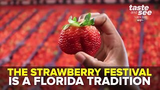 2020 Florida Strawberry Festival | Taste and See Tampa Bay