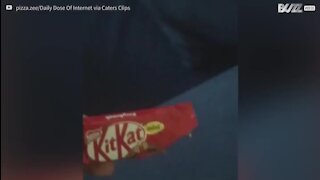Cette étudiante tombe sur un Kit Kat étonnant