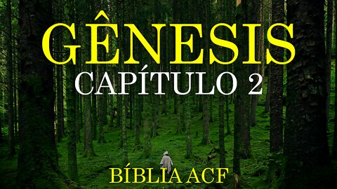 GÊNESIS - CAPÍTULO 2 (BÍBLIA ACF) | BÍBLIA NARRADA