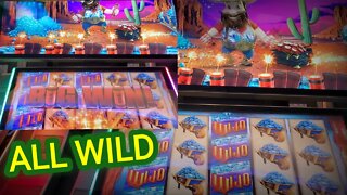 ALL WILD ON JOE BLOW GOLD SLOT MACHINE / SPIRIT MOUNTAIN CASINO