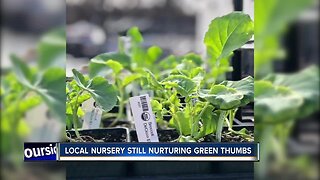 We're Open: North End Organic Nursery still nurturing green thumbs of Boise garden enthusiasts