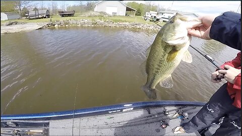 Catching HUGE Bass on Spinnerbaits, Jigs, and Senkos!