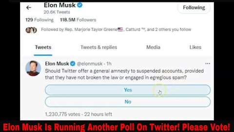 Elon Musk Is Running Another Poll On Twitter! Please Vote!
