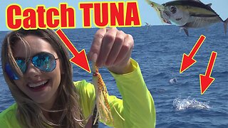 How to catch FLORIDA TUNA! Catch and Cook