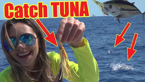 How to catch FLORIDA TUNA! Catch and Cook