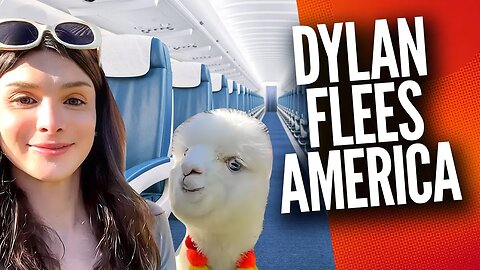 Dylan Mulvaney FLEES America, Feels Safer with Llamas in Peru