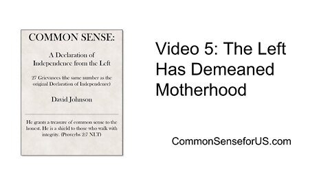 Video 5: The Left Has Demeaned Motherhood
