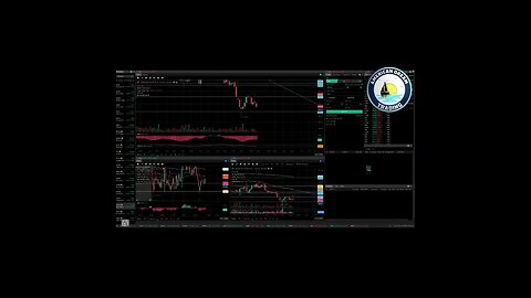 Achieving Excellence - VIP Member's +$900 Profit In The Stock Market
