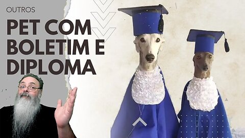 PETS tem agora BOLETIM e DIPLOMA de FORMATURA em PETSHOPS e HOSPEDAGEM de CÃES, igual CRIANÇAS