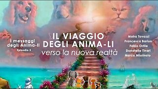 IL VIAGGIO DEGLI ANIMA-LI - Episodio 3 I messaggi degli Anima-li