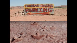 JURASSIC ARIZONA! Dinos found in our state - ABC15 Digital