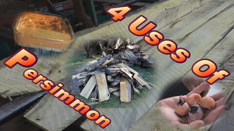 Circle Milling The Whole Persimmon