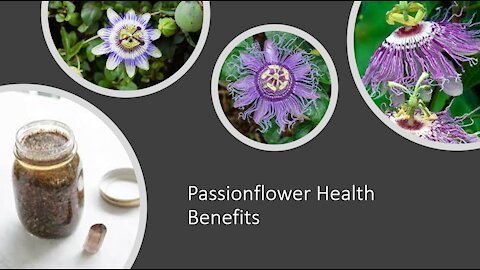 Passionflower Calming GABA Benefits