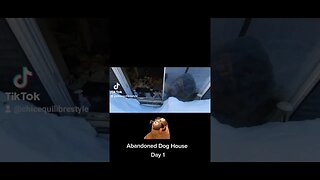 #doghouse #abandonedplaces #omg #trailer #day1 #transformation #find #ytshortsvideo #ytshortscanada