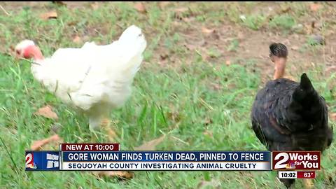 Gore woman finds turken dead, pinned to fence