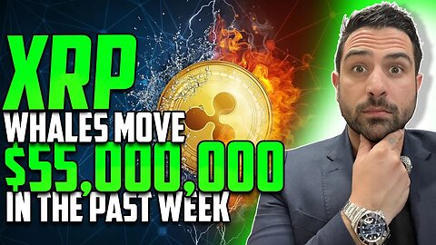 🤑 XRP RIPPLE WHALES MOVE $55.0M IN PAST WEEK | KEVIN OLEARY BINANCE DESTROYED FTX & SBF | XDC UP 🤑