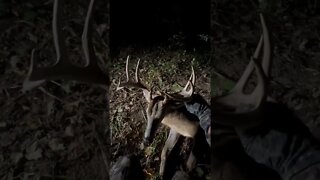 We FOUND Him! (Ohio BUCK Down! )