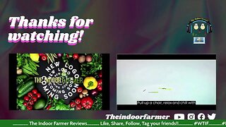 The Indoor Farmer Reviews #17! Sunbeam Unboxing, StrawNanna Review, Journey So Far Review