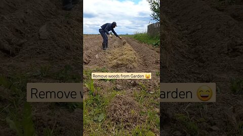 How to Eliminate WEEDS from Garden | #short #shorts #shortvideo #shortsvideo #shortsfeed #subscribe