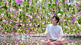 Floating Flower Garden in Japan's Digital Art Museum: teamLab Planets TOKYO