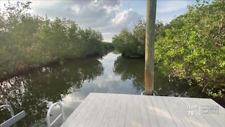 St. Pete man charged with hate crime after hurling racial slurs, firing air rifle, police say