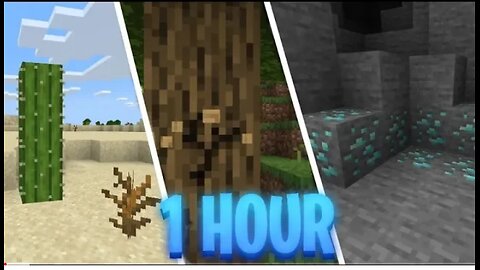 1 Hour of Minecraft survival gameplay