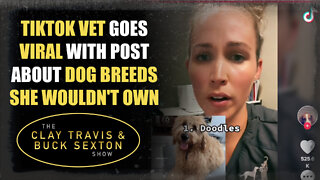 TikTok Vet Goes Viral with Post About Dog Breeds She Wouldn't Own