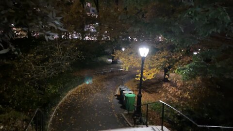 Central Park NYC Autumn Foliage 🍁 walking tour at The Pond New York City USA